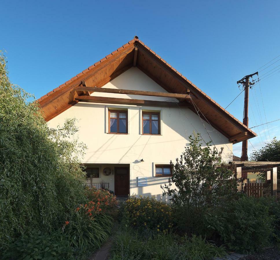 Appartamento Zeleny Statek Bzova Esterno foto